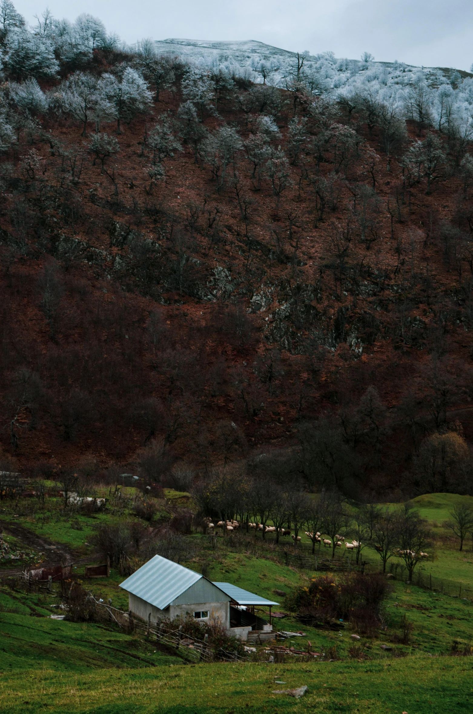 a farm with a very small barn in the background