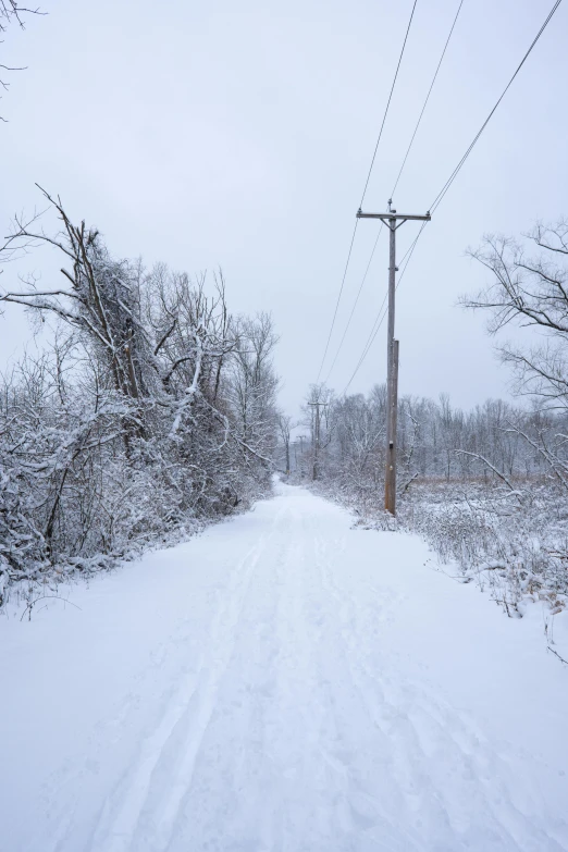 a snow covered street with telephone poles, trees and grass