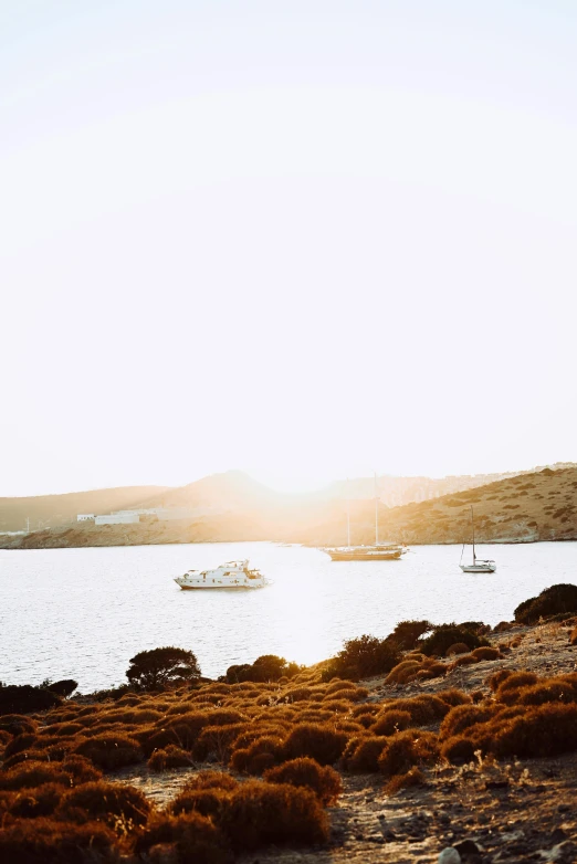 boats on the water near some grassy ground