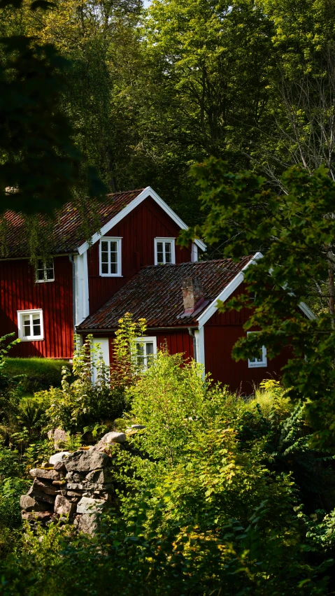 a very cute red house surrounded by trees