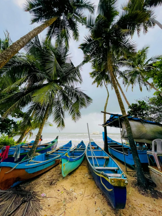 four boats docked on the shore on a tropical beach