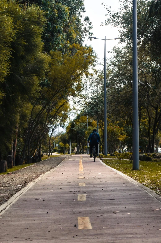 a man riding his bike down the middle of the street