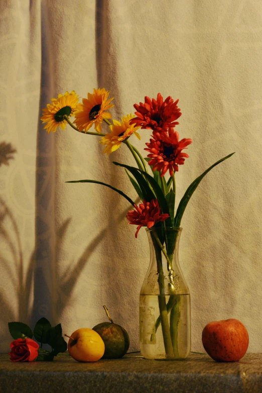 three flowers, oranges and apples on top of a table