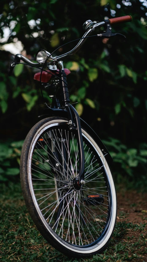 a bicycle is sitting upright in front of some trees