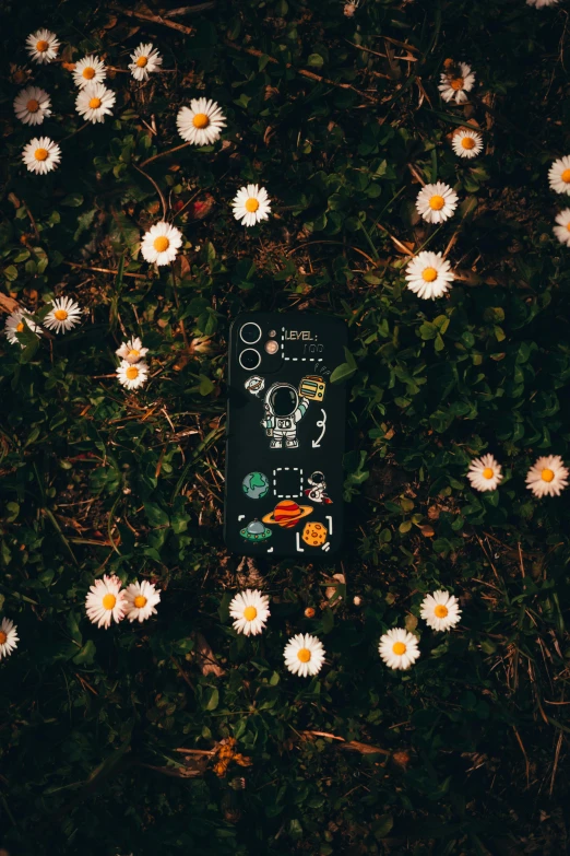 a remote control laying on the ground amongst a group of flowers