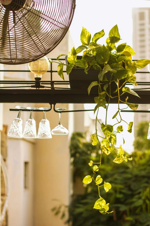 a fan and wine glasses are hanging on a rack