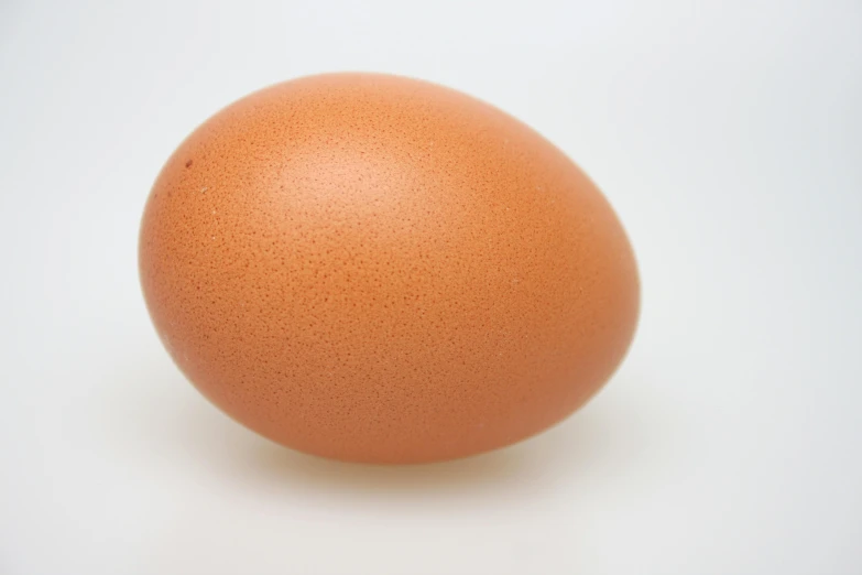 an egg is pographed on a white background