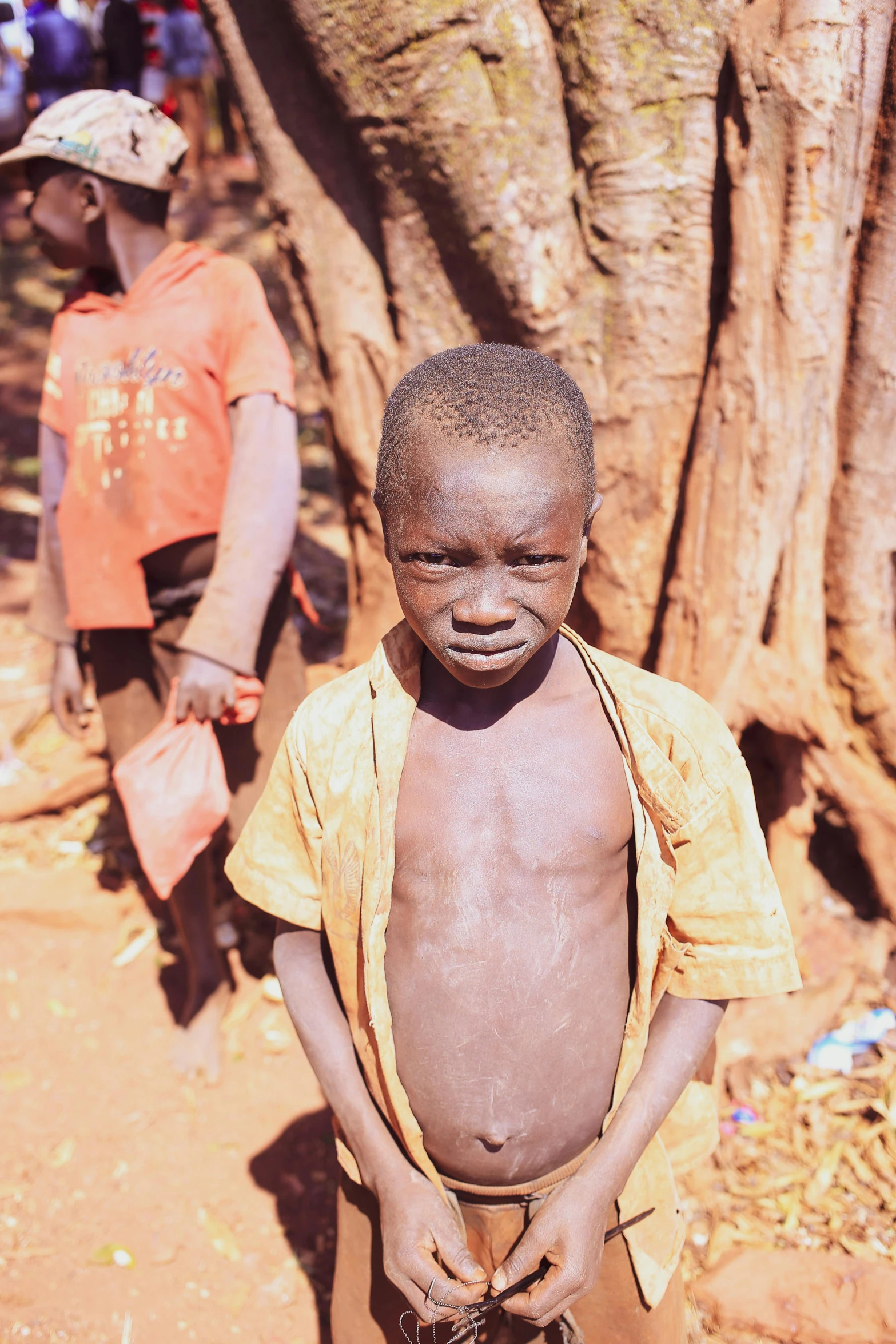 a small boy stands near a large tree