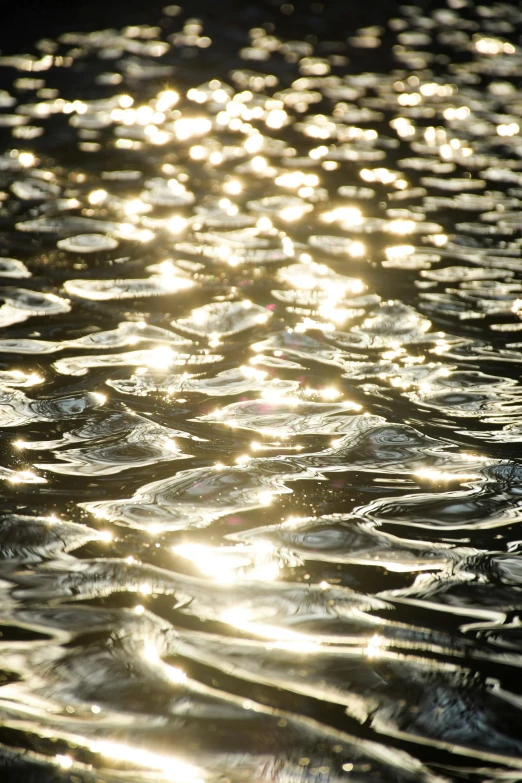 water with a bunch of water bubbles in it