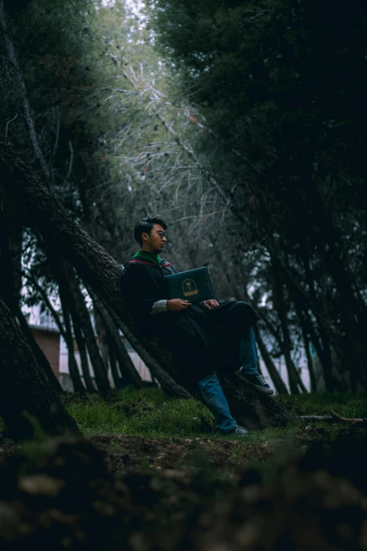 a man sitting on a tree in the forest