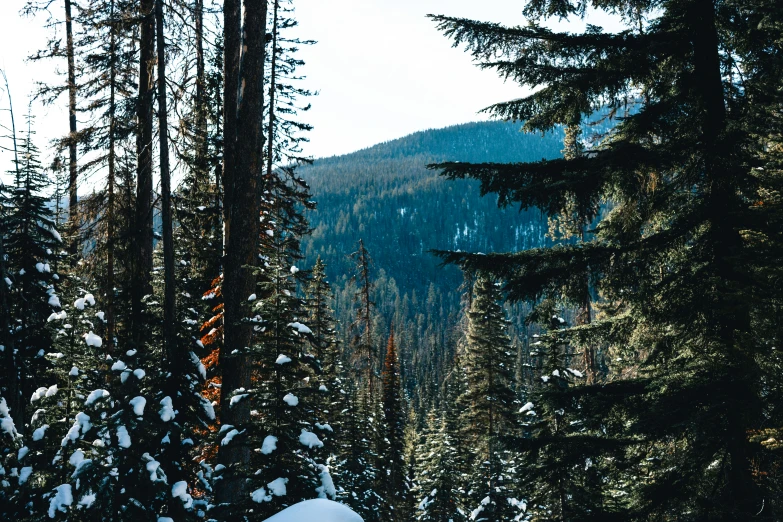 the man is skiing in the mountains alone