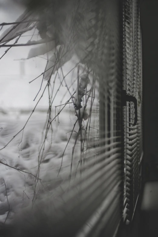 a window with blinds covered by snow on it