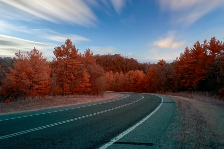 a road surrounded by trees in autumn