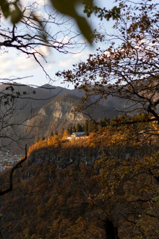 view over an area with leaf covered trees