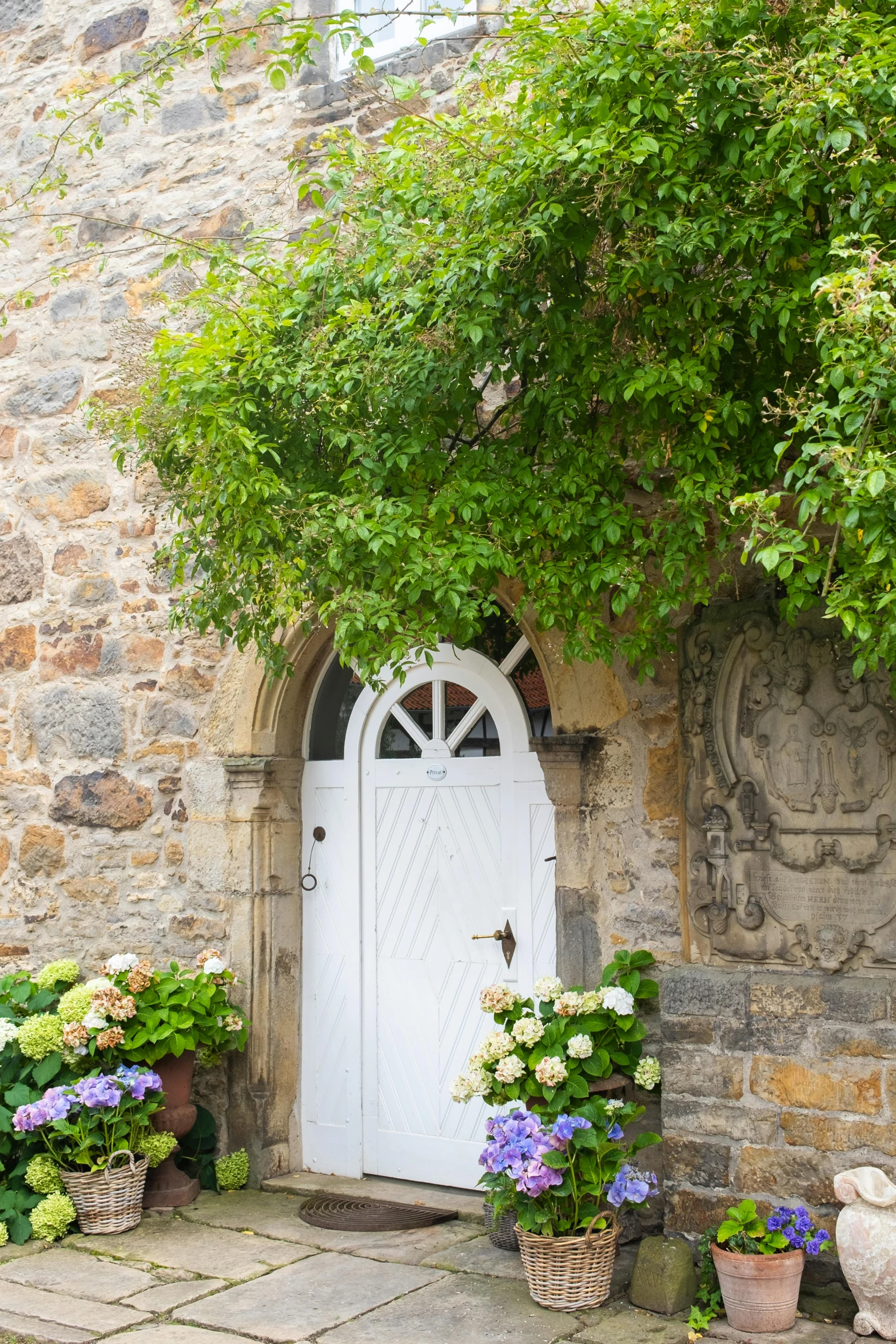 an entrance with some potted plants on either side of the door