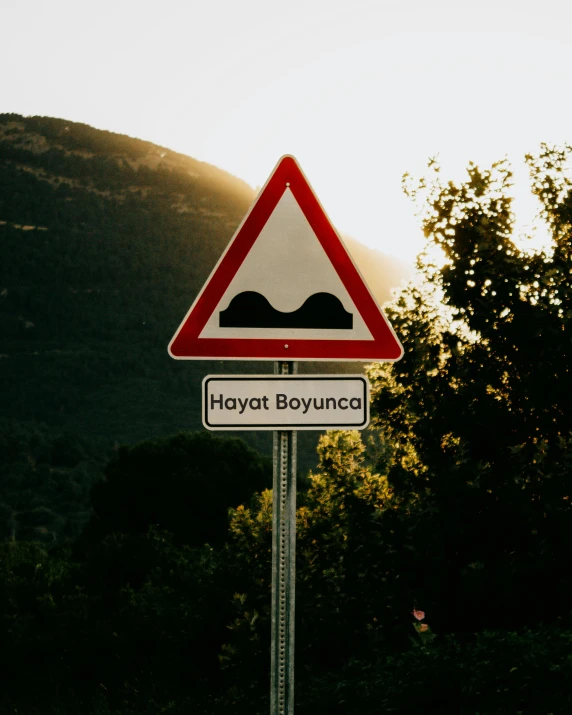 a warning sign on a post next to some trees