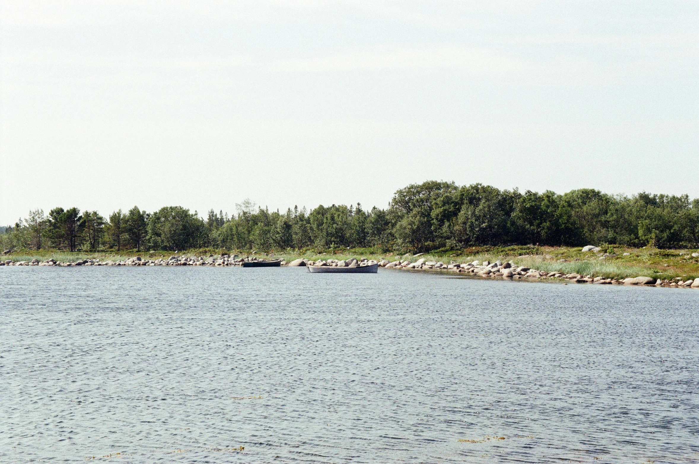 a river with boats in the water and several trees