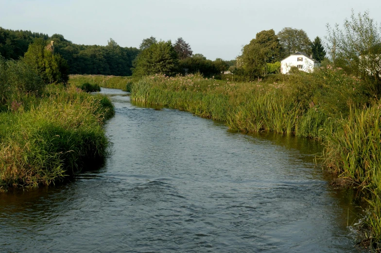 a small canal runs through some lush grass and brush