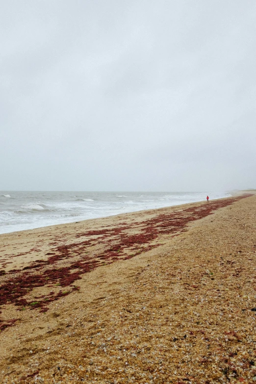 two people are on the beach under an umbrella