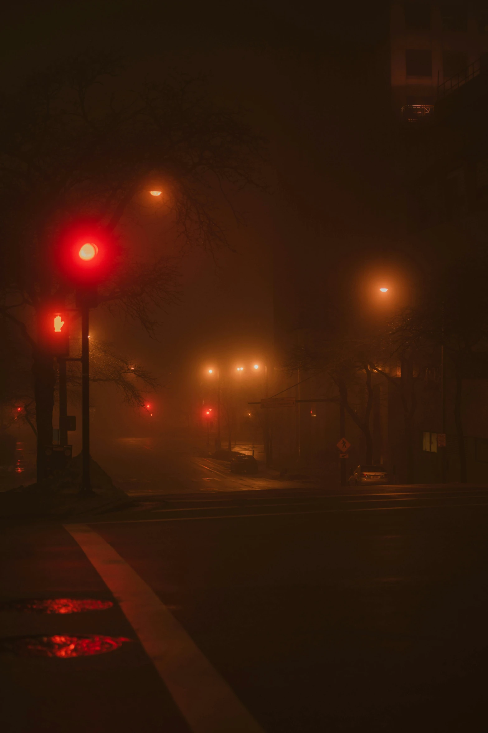 a dark city street with street lamps and street signs