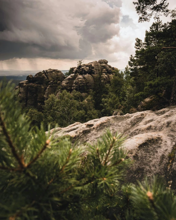 a person is on a mountain looking down at the trees