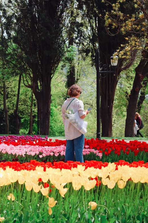 a woman stands in a flower field in the sun