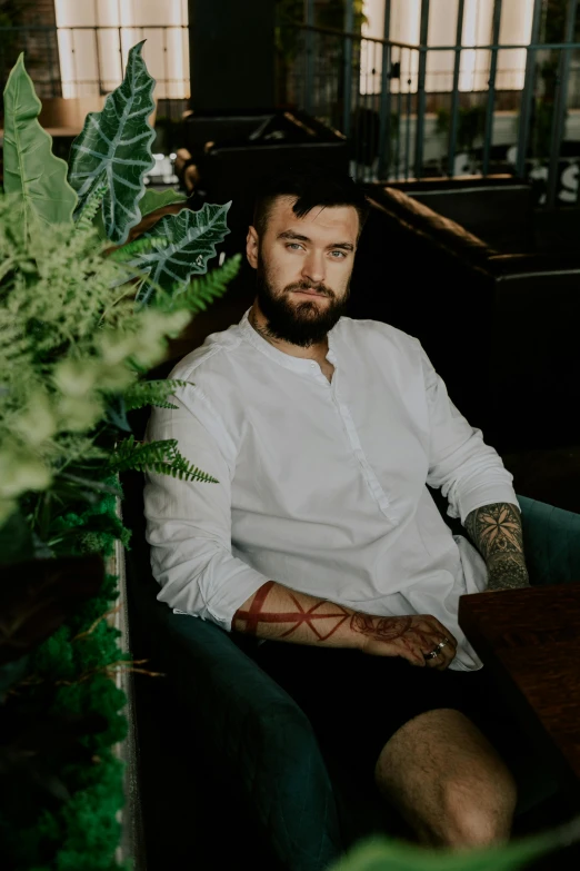 the man is sitting in a chair near a plant