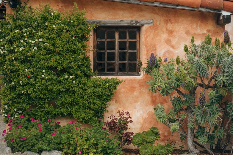 an image of a door and window on a small building