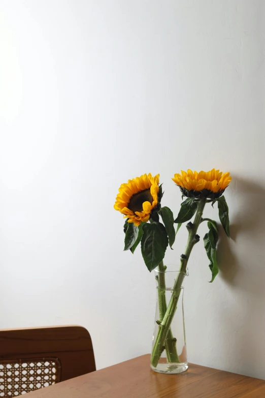 three yellow sunflowers sitting in a glass vase on a table