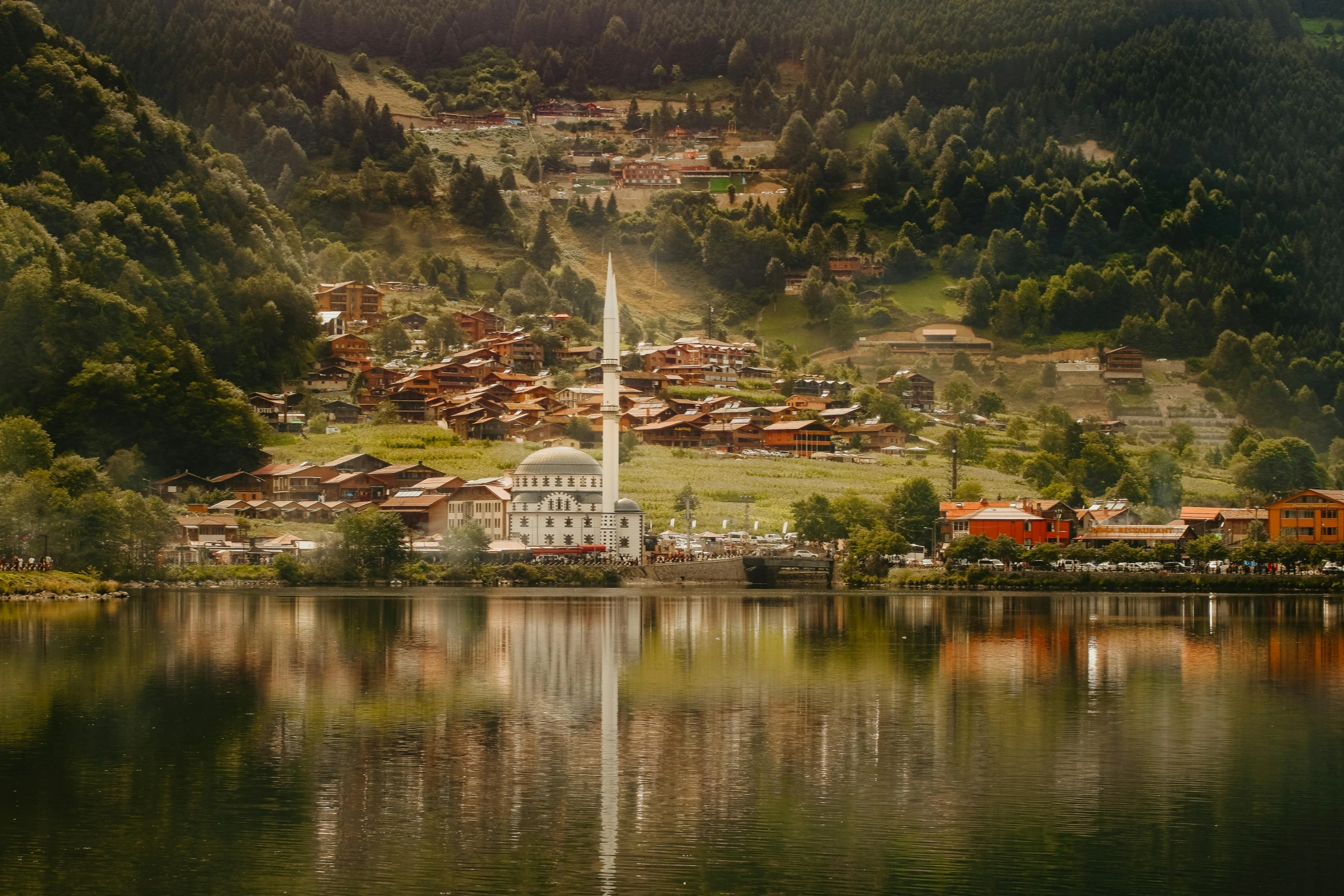 view of a village in the middle of water