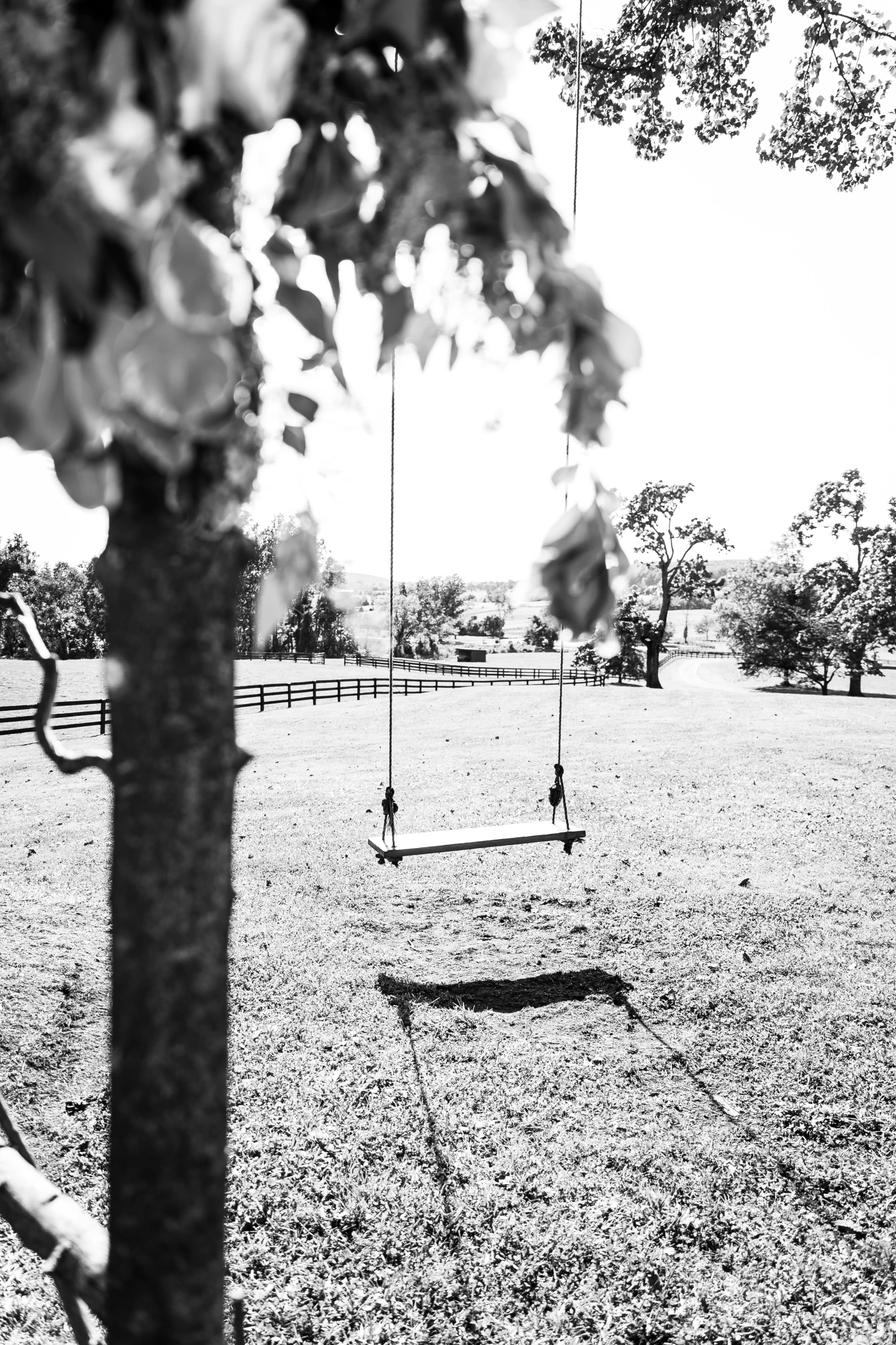 an empty park with swings and trees and grass