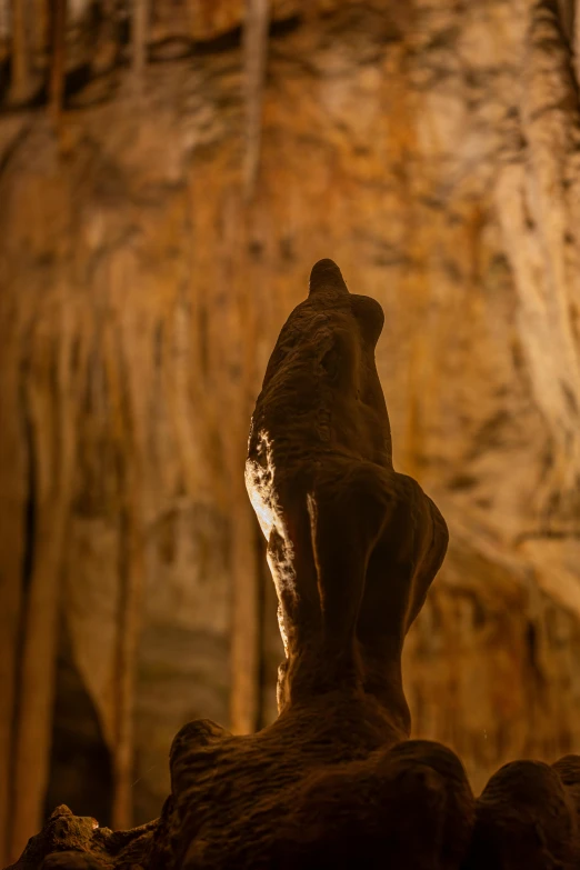 the lion is standing tall against the large rock