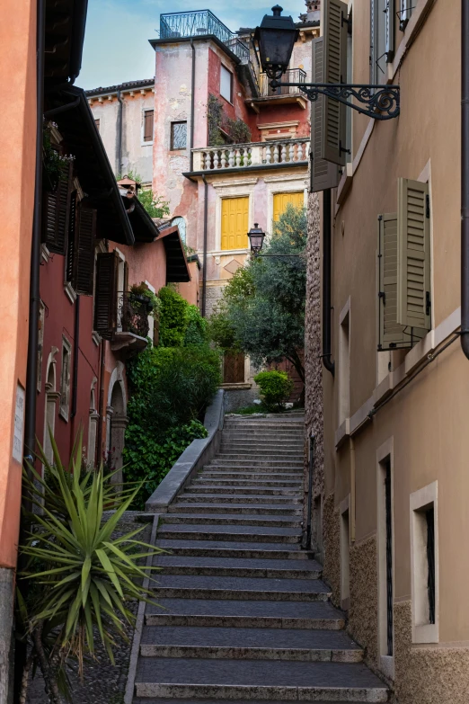 some steps leading to various buildings and plants