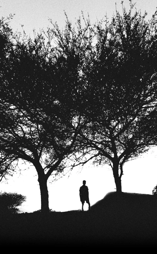 black and white po of a tree and two people standing beneath