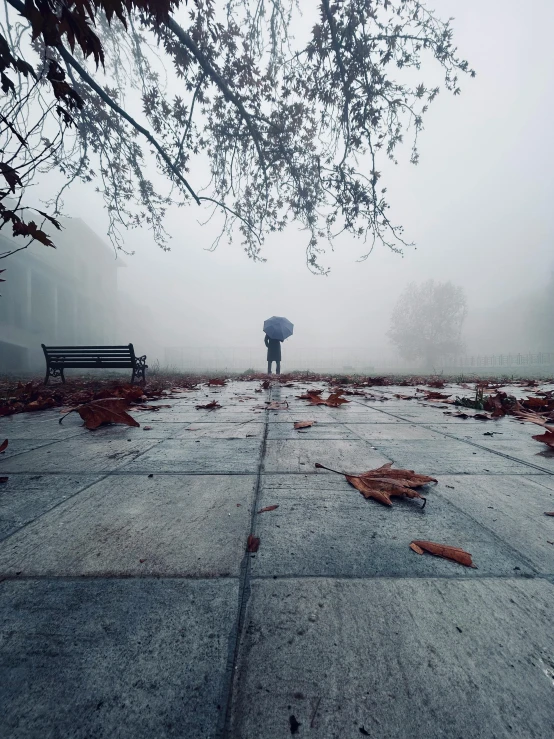 a person walking with an umbrella on a pavement