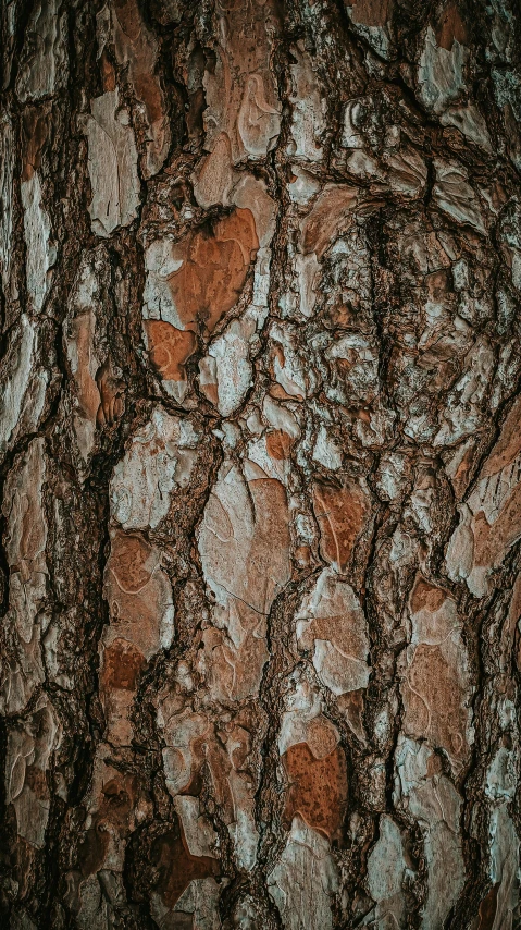 the wall is made of many rocks and has rust