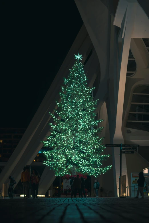 a very large green christmas tree lit up in the night