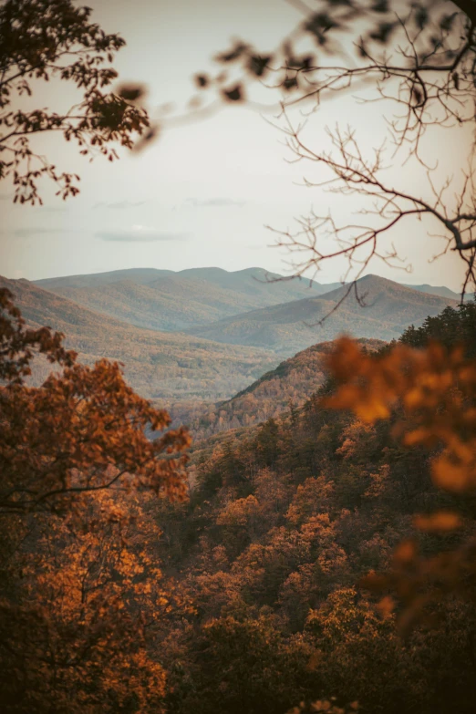 a scenic view of the great smoky mountains, taken from the blue ridge overlook trail