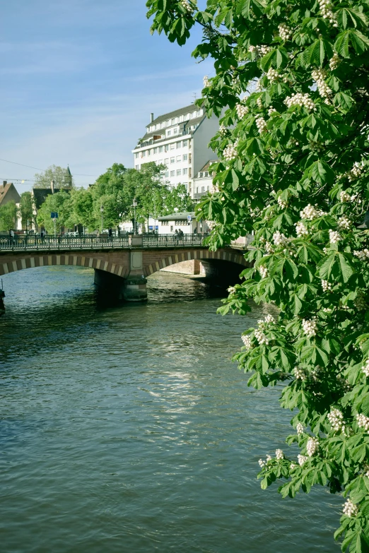 the river is running beside a bridge in this city