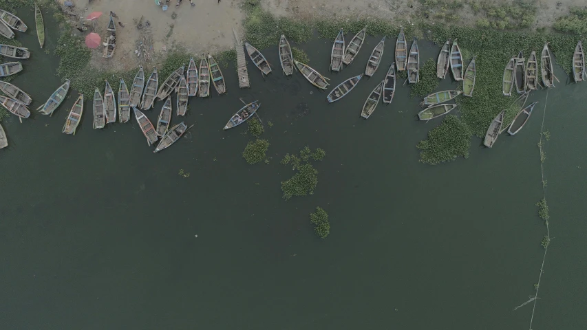 a large number of boats docked at the shore