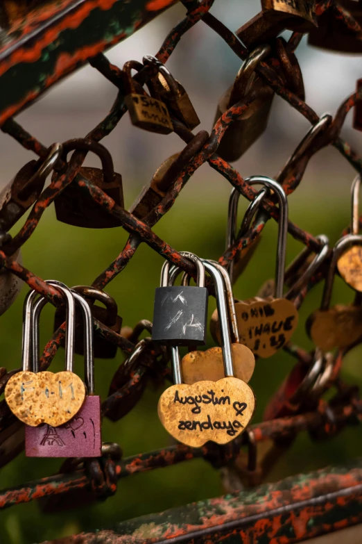 several locks are seen attached to a rusty chain link fence