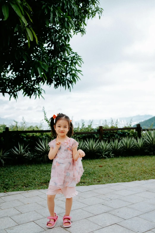 a little girl that is in a pretty dress