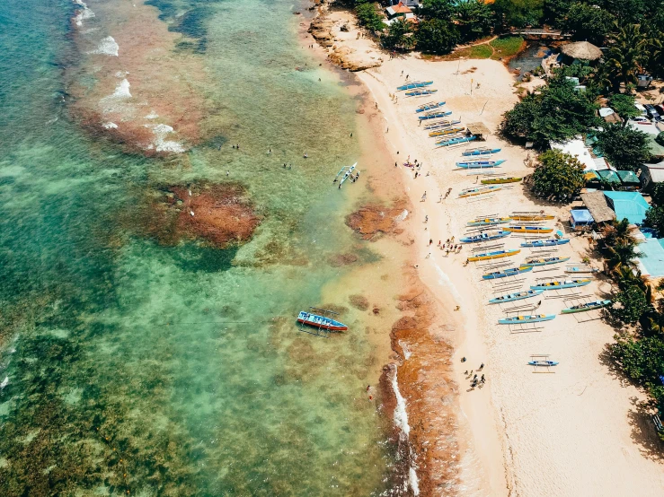 aerial view of a beach with boats and palm trees