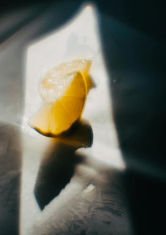 a slice of fruit laying on top of a table