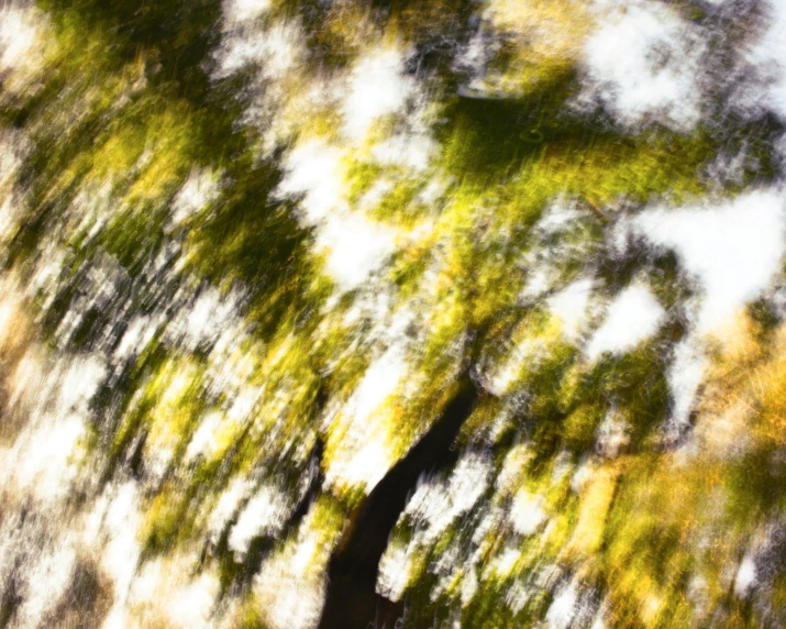 an area with many trees and some white clouds