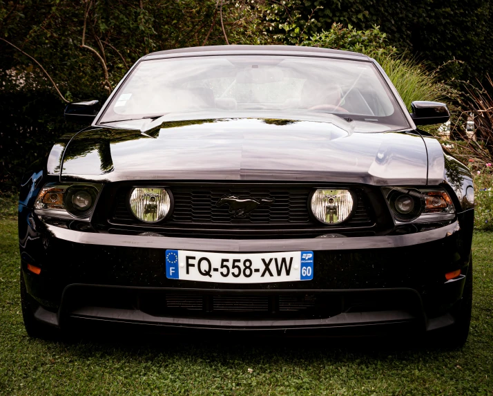 the front of a black sports car parked on a lush green field