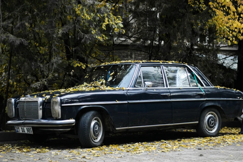 an old blue mercedes benz with leaves on it