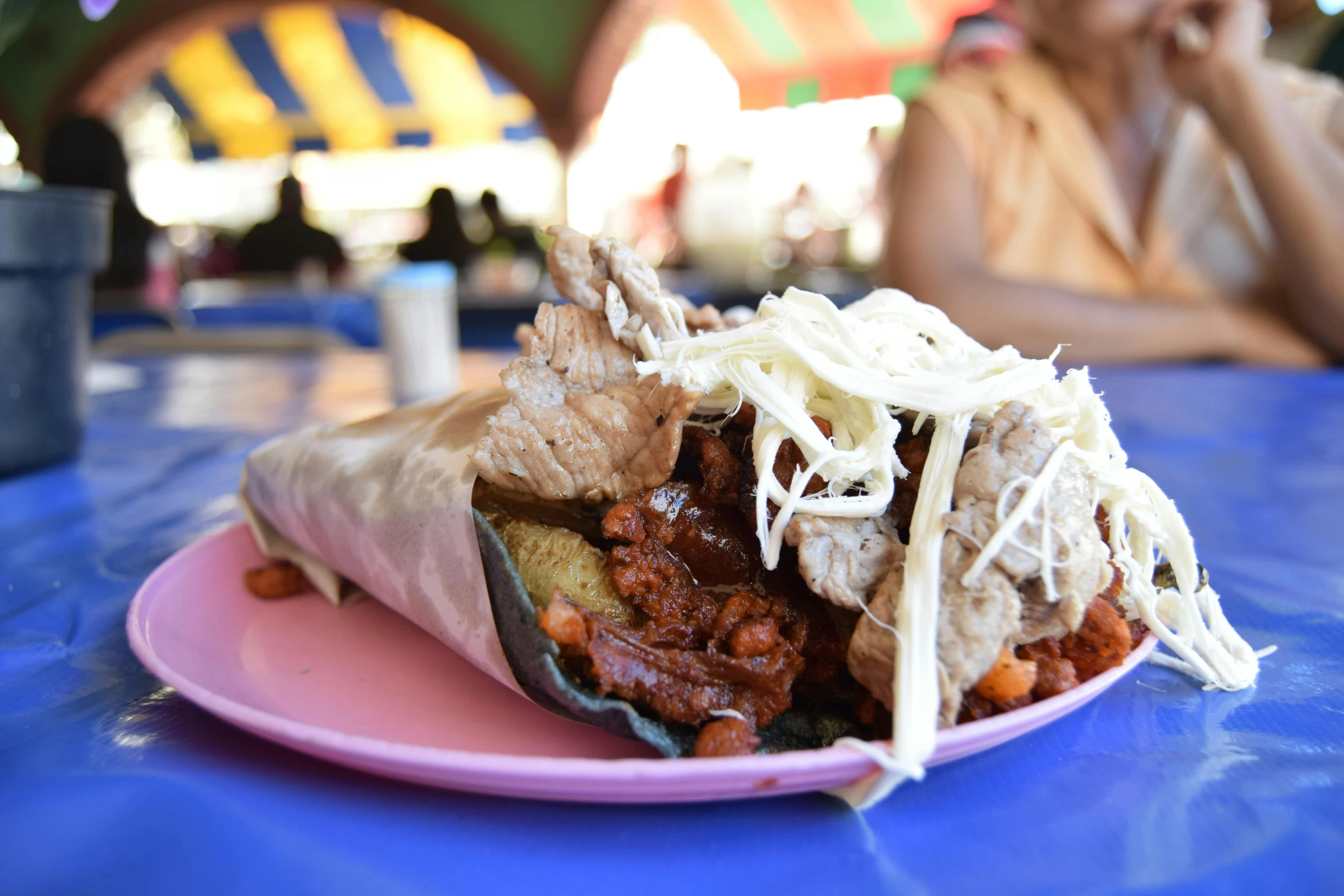 a plate that has a large burrito on it