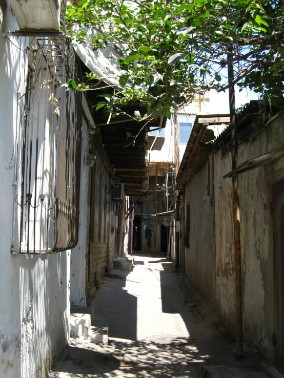 a alleyway with buildings covered in tree limbs and vines