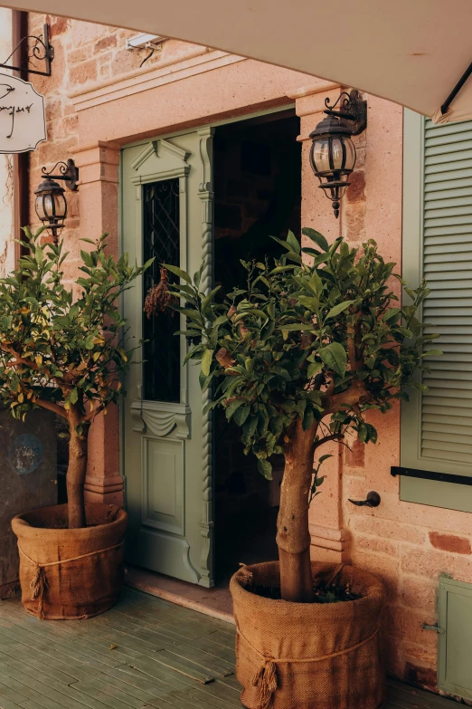 two potted trees sit in front of an entrance